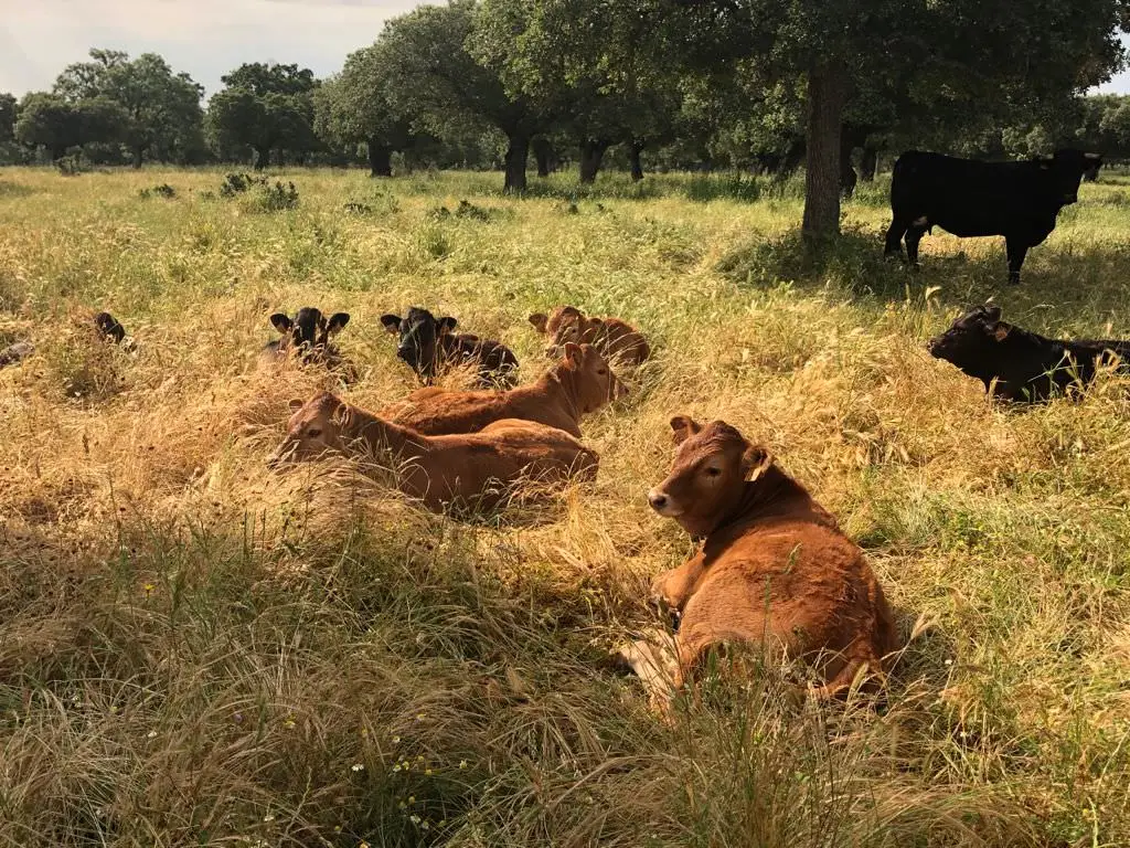 21db99d0-1952-4cd0-80b9-cc1d659ec5d4[1]