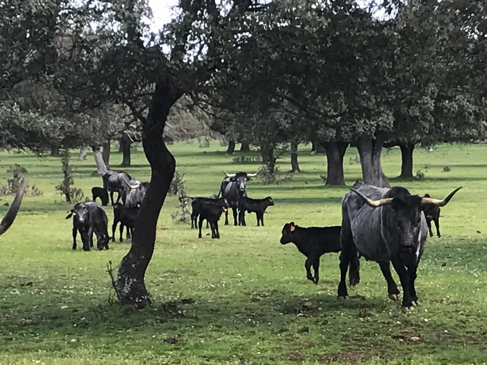 IMG-20240327-WA0001[1]