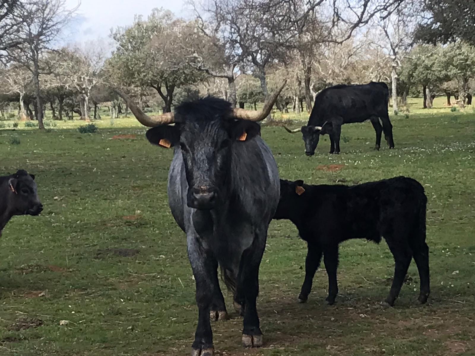 IMG-20240327-WA0003[1]