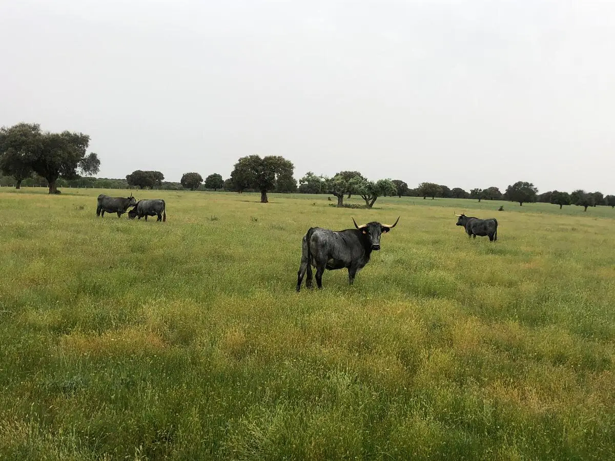 PHOTO-2022-06-19-09-36-00[1]