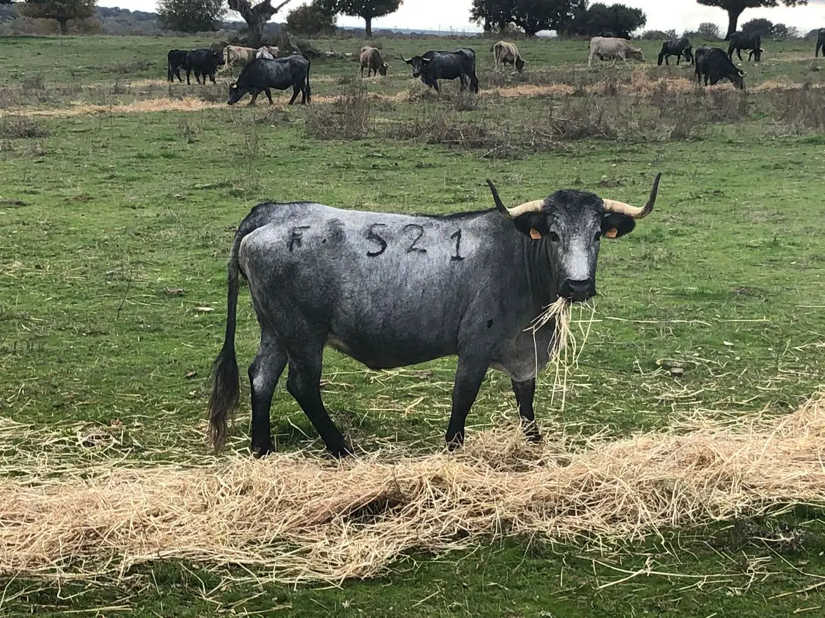 PHOTO-2022-06-19-09-36-01[1]