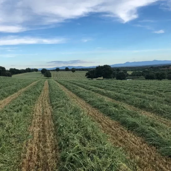 87772699-2653-401c-bc0e-d4f20e07fa54[1]