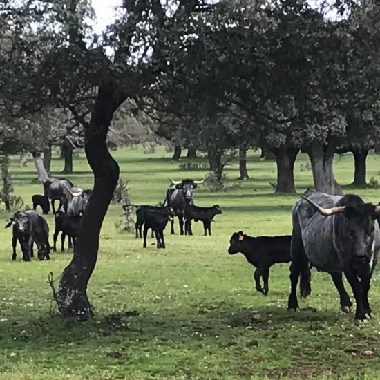 IMG-20240327-WA0001[1]